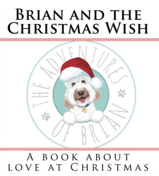 Brian and the Christmas Wish