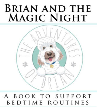 Brian and the Magic Night