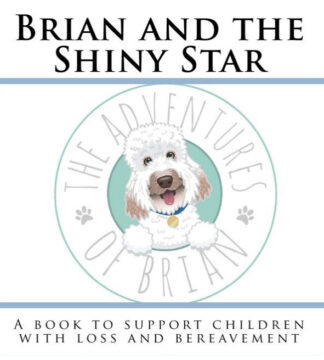 Brian And The Shiny Star